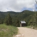 colorado_trail-ridge-road_061910_3777