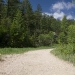 colorado_trail-ridge-road_061910_3807