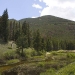 colorado_trail-ridge-road_061910_3860