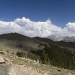 colorado_trail-ridge-road_061910_3943