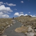 colorado_trail-ridge-road_061910_4084