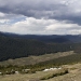 colorado_trail-ridge-road_061910_4130